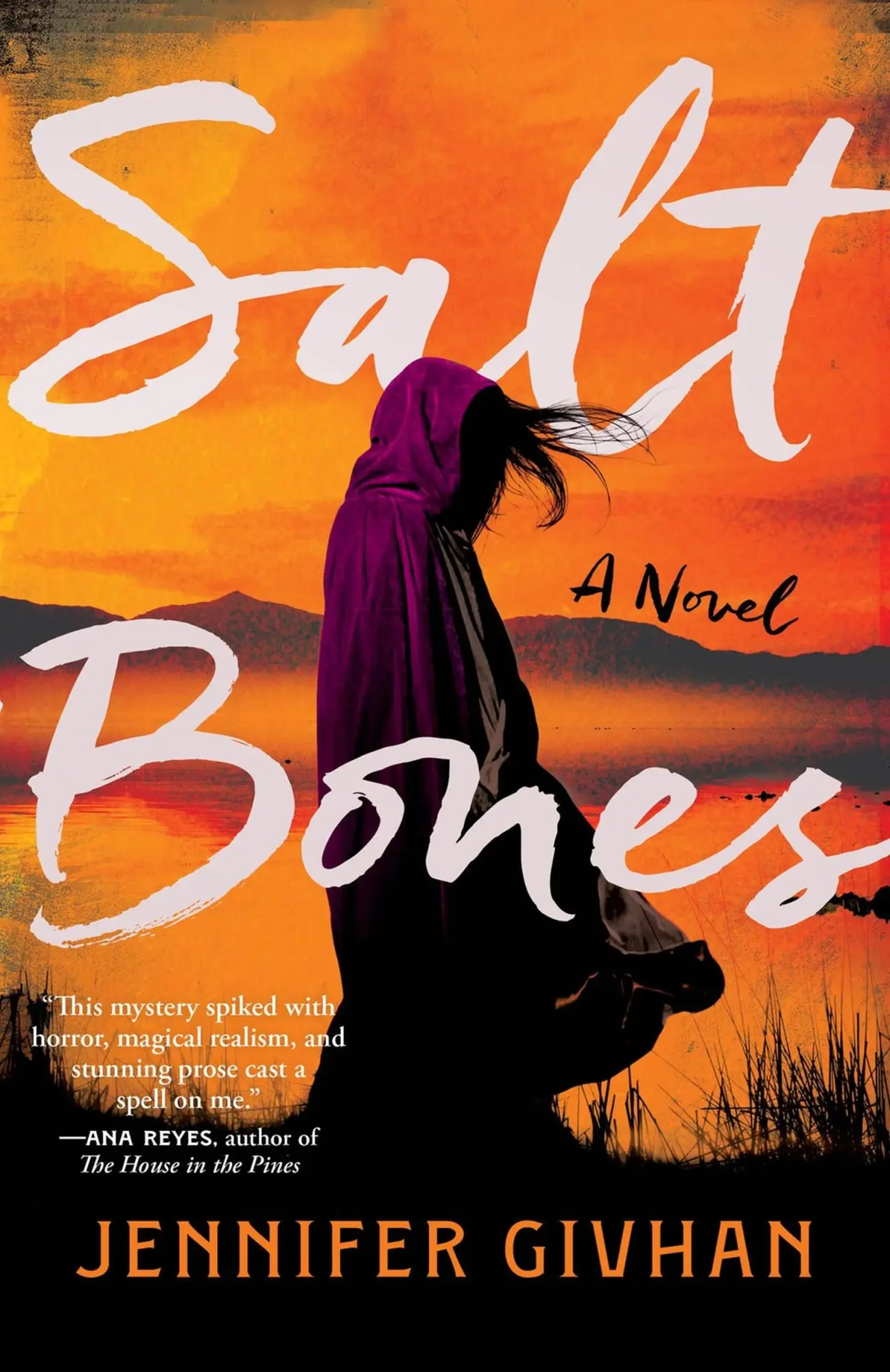 Cover: 9780316596480 | Salt Bones | A Novel | Jennifer Givhan | Taschenbuch | Paperback