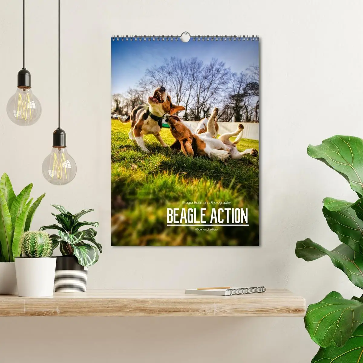 Bild: 9783516416480 | Beagle Action - Wilde Kuscheltiere (Wandkalender 2026 DIN A3 hoch),...