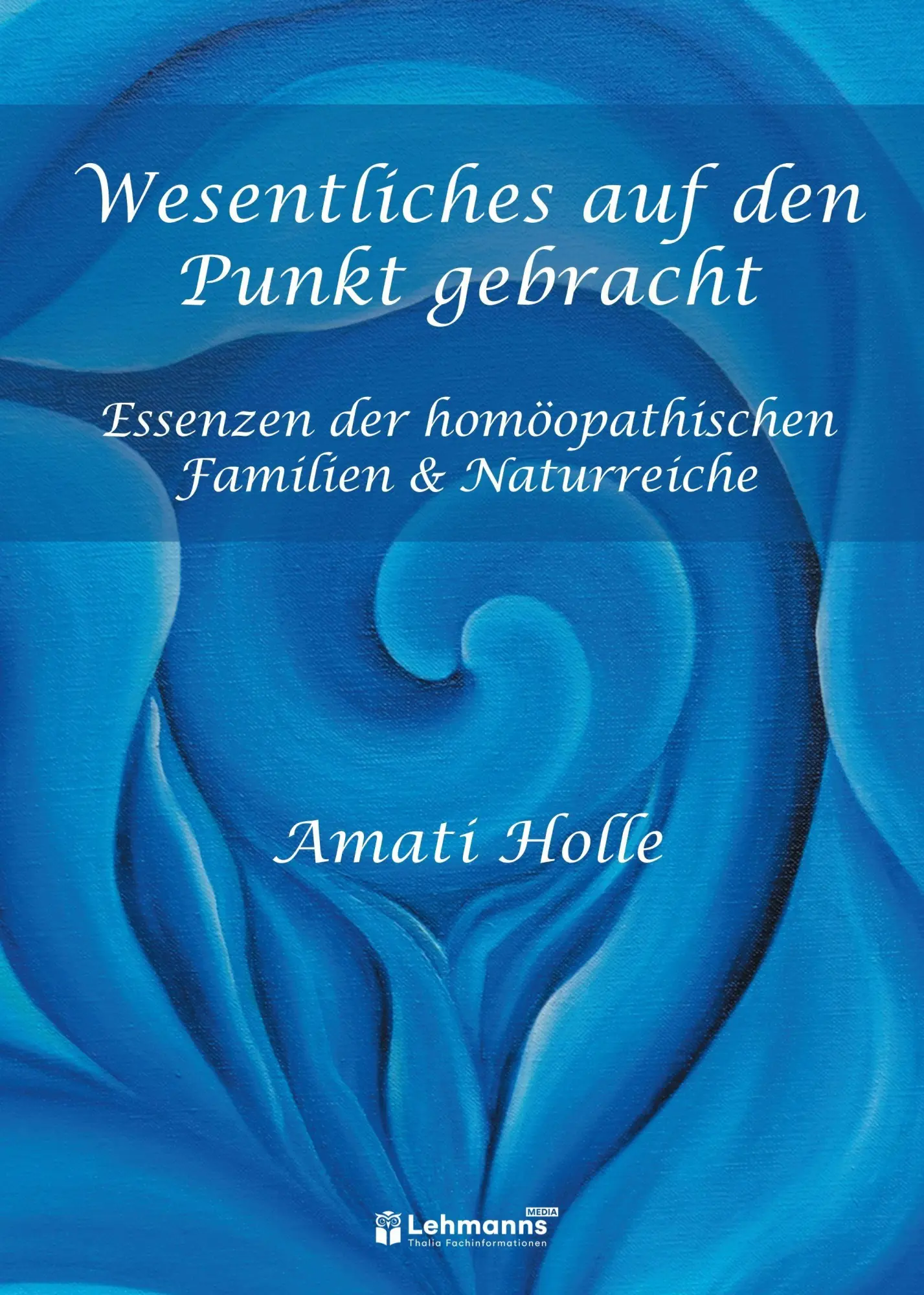 Cover: 9783965436480 | Wesentliches auf den Punkt gebracht | Amati Holle | Buch | 512 S.