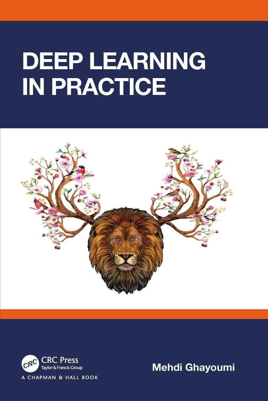 Cover: 9780367456580 | Deep Learning in Practice | Mehdi Ghayoumi | Taschenbuch | Englisch