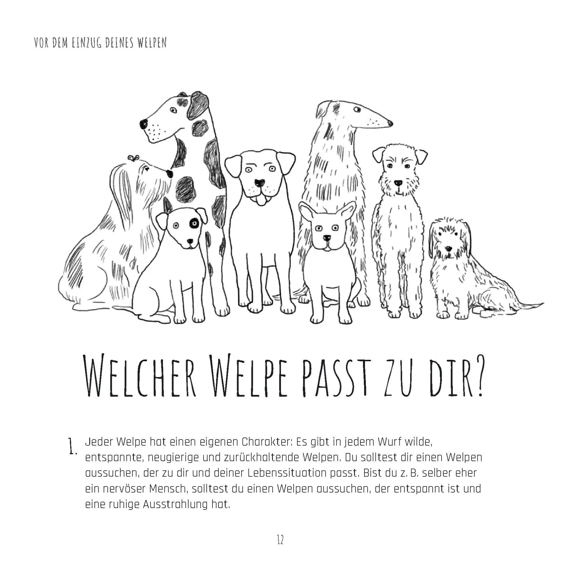Bild: 9783961466580 | Die Welpen-Fibel. Junge Hunde im ersten Lebensjahr: Sozialisierung,...