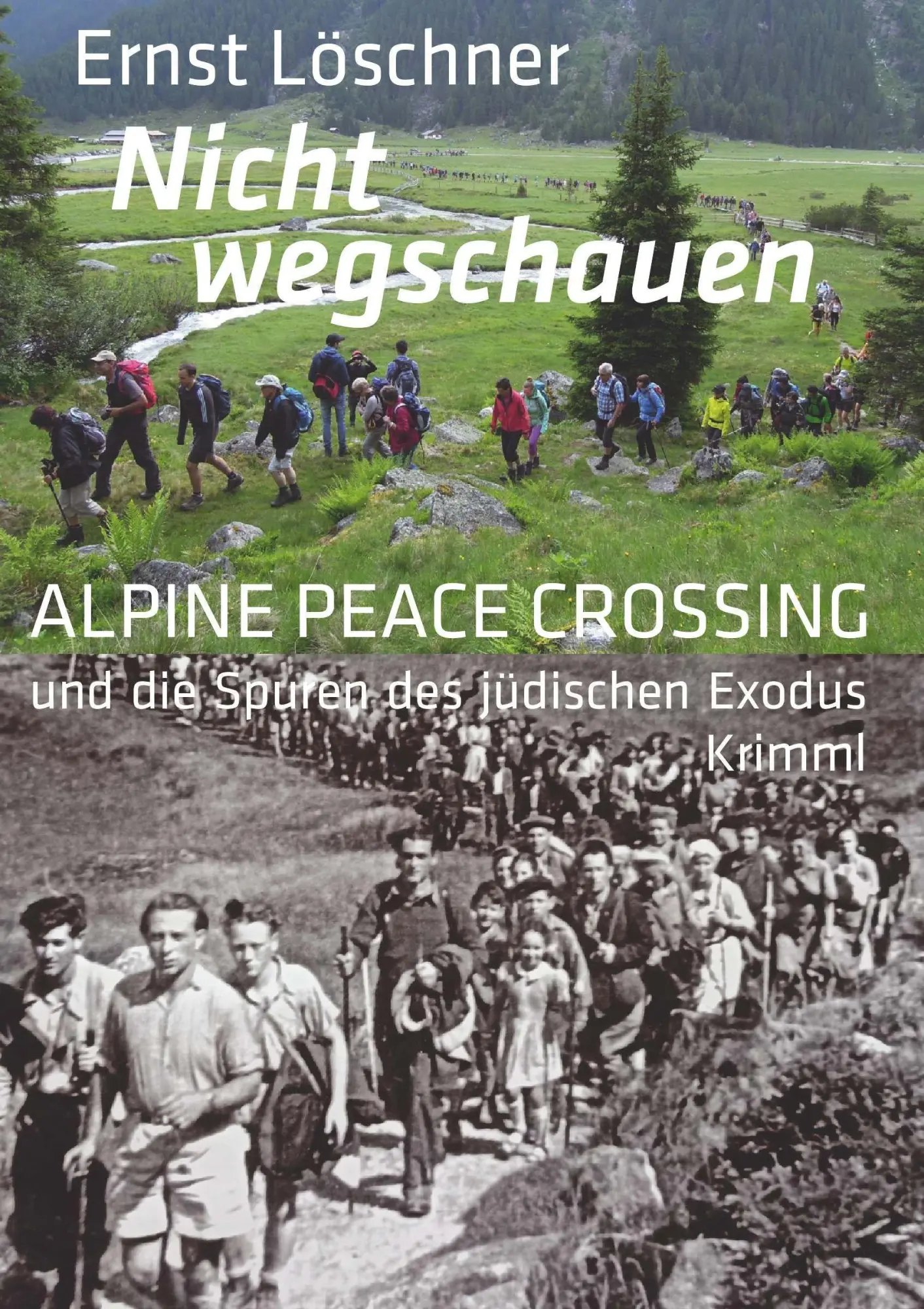 Cover: 9783991926580 | Nicht wegschauen | Ernst Löschner | Taschenbuch | 224 S. | Deutsch