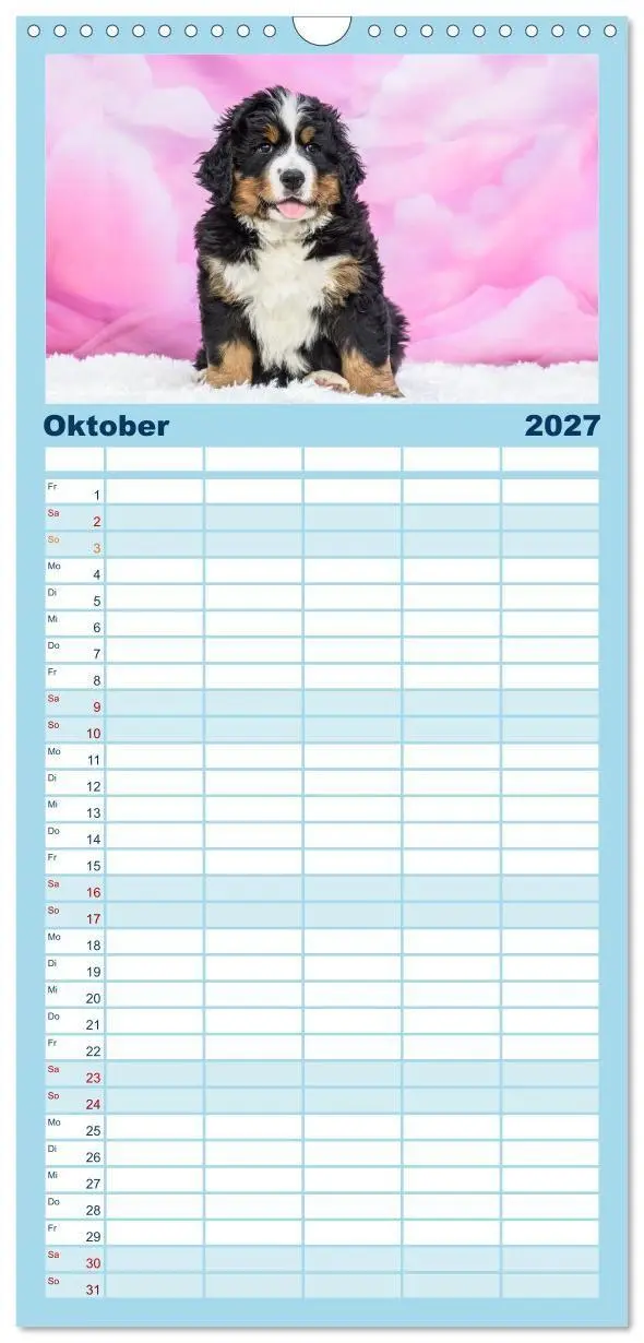 Bild: 9783594306680 | Familienplaner 2027 - Berner Sennenhunde - Faszinierende...