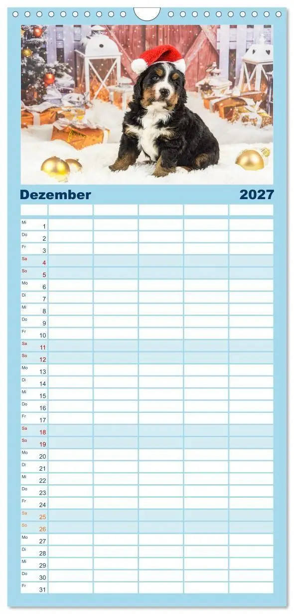 Bild: 9783594306680 | Familienplaner 2027 - Berner Sennenhunde - Faszinierende...