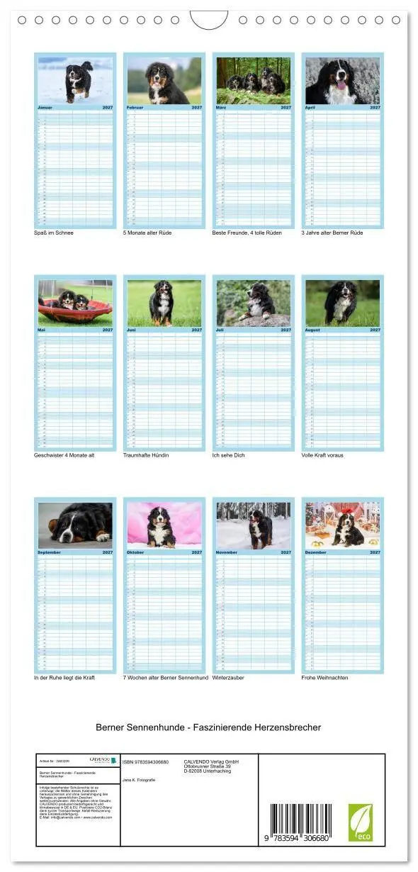 Bild: 9783594306680 | Familienplaner 2027 - Berner Sennenhunde - Faszinierende...