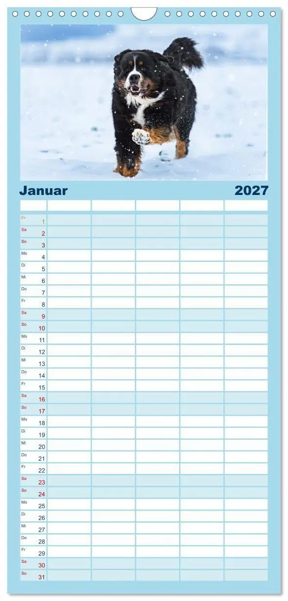 Bild: 9783594306680 | Familienplaner 2027 - Berner Sennenhunde - Faszinierende...
