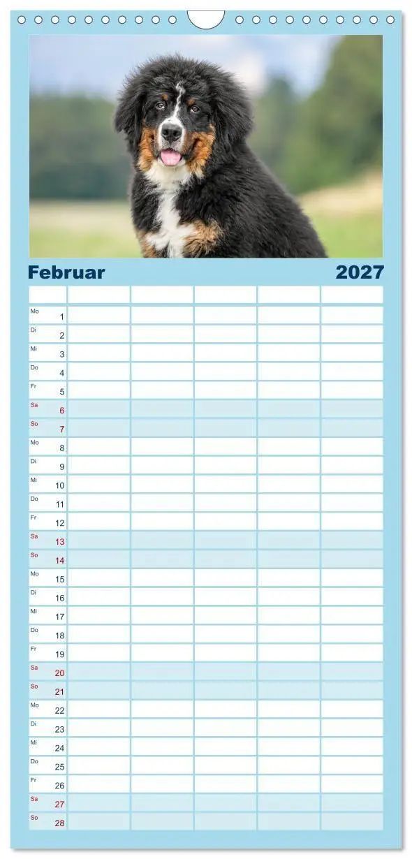 Bild: 9783594306680 | Familienplaner 2027 - Berner Sennenhunde - Faszinierende...