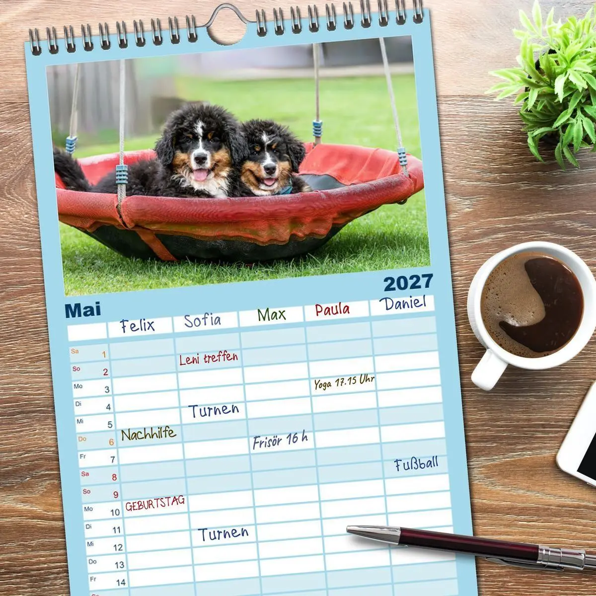 Bild: 9783594306680 | Familienplaner 2027 - Berner Sennenhunde - Faszinierende...