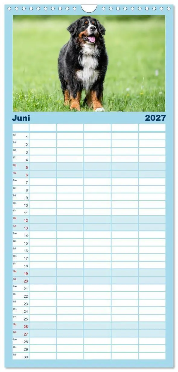 Bild: 9783594306680 | Familienplaner 2027 - Berner Sennenhunde - Faszinierende...