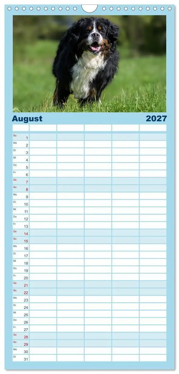 Bild: 9783594306680 | Familienplaner 2027 - Berner Sennenhunde - Faszinierende...