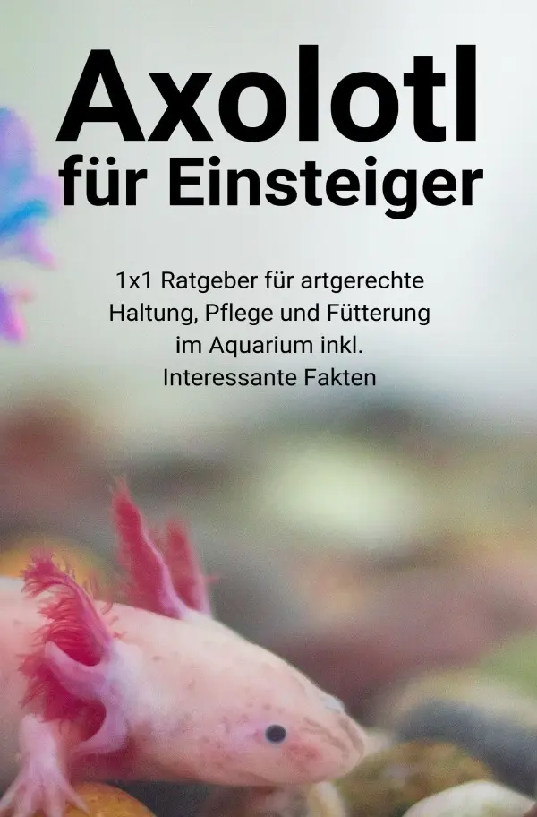 Cover: 9783754926680 | Axolotl für Einsteiger | Thorsten Hawk | Taschenbuch | 60 S. | Deutsch