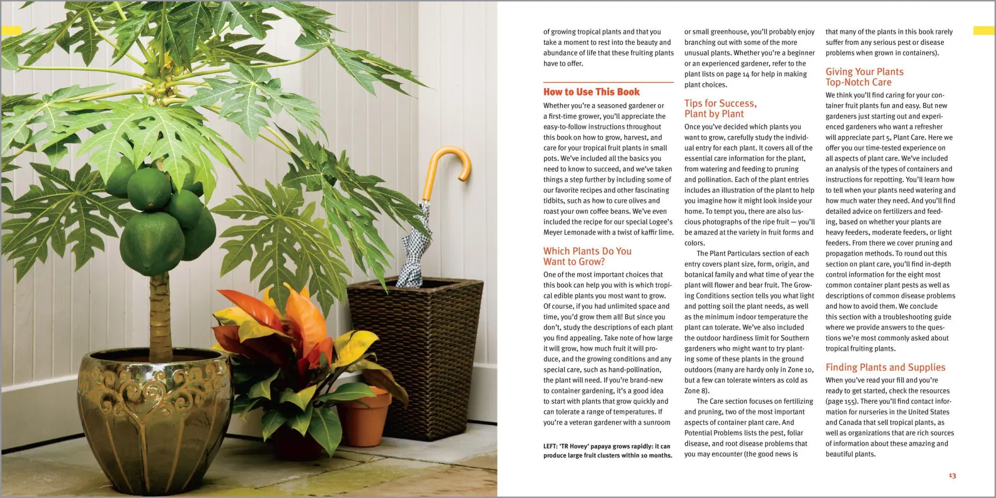 Bild: 9781635866780 | Edible Houseplants | Byron E. Martin (u. a.) | Taschenbuch | Englisch