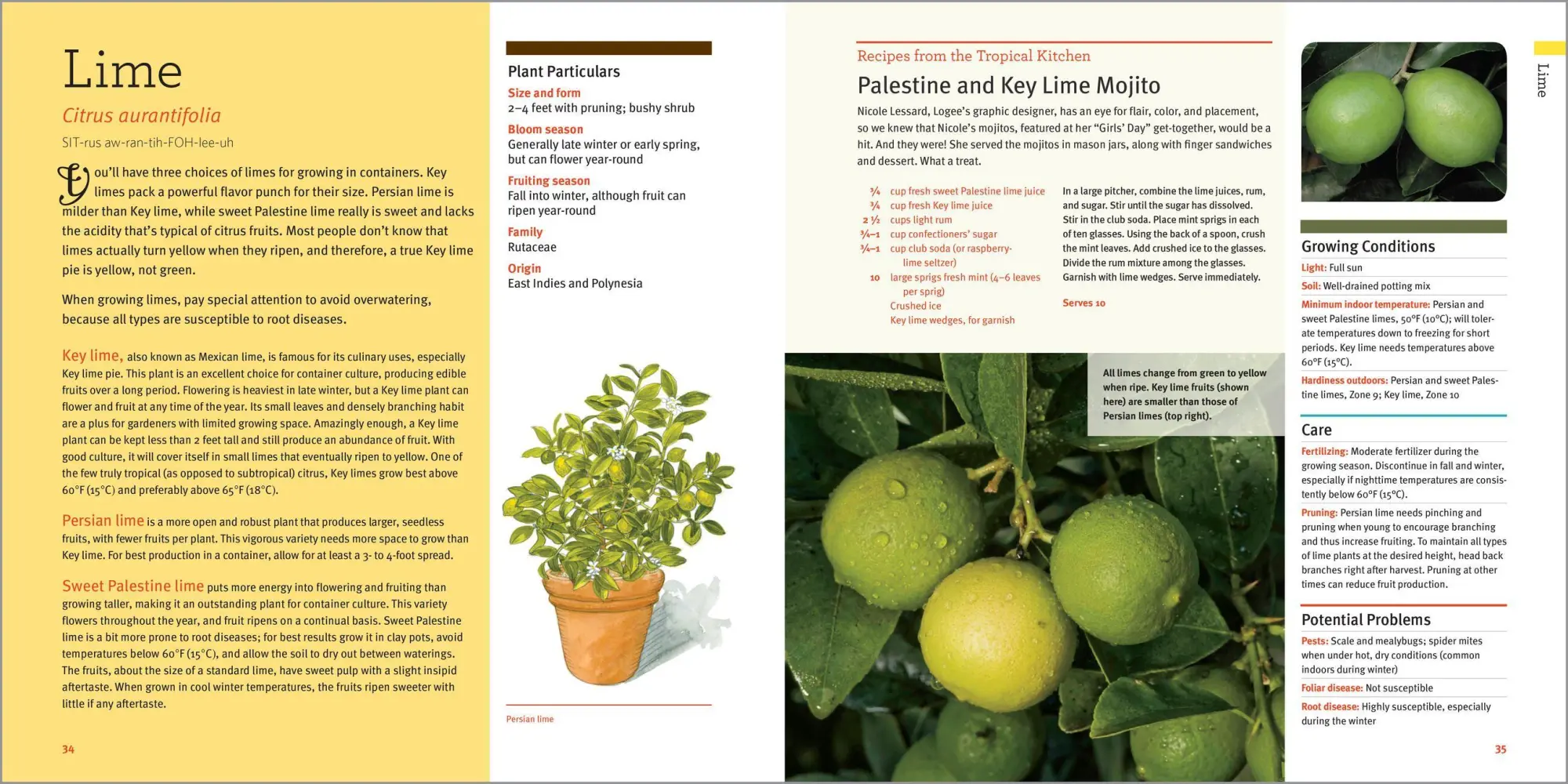 Bild: 9781635866780 | Edible Houseplants | Byron E. Martin (u. a.) | Taschenbuch | Englisch