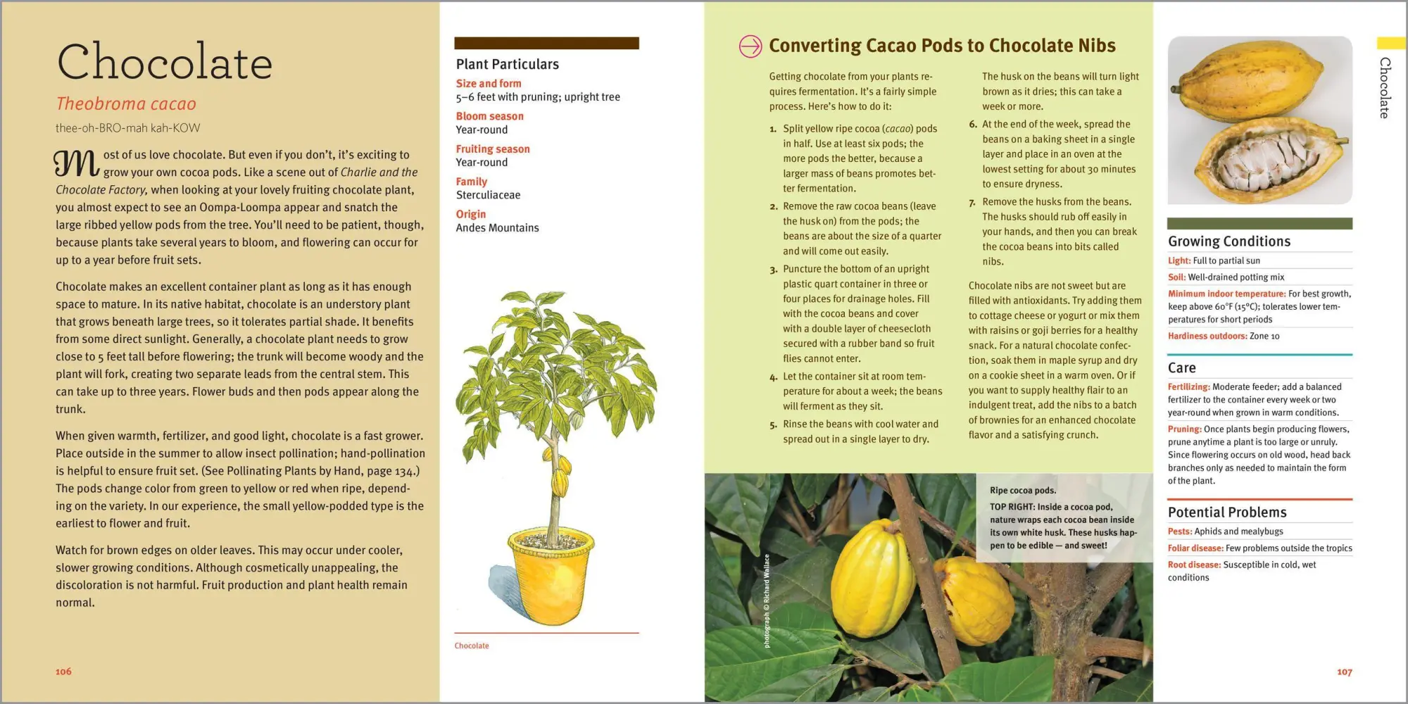 Bild: 9781635866780 | Edible Houseplants | Byron E. Martin (u. a.) | Taschenbuch | Englisch