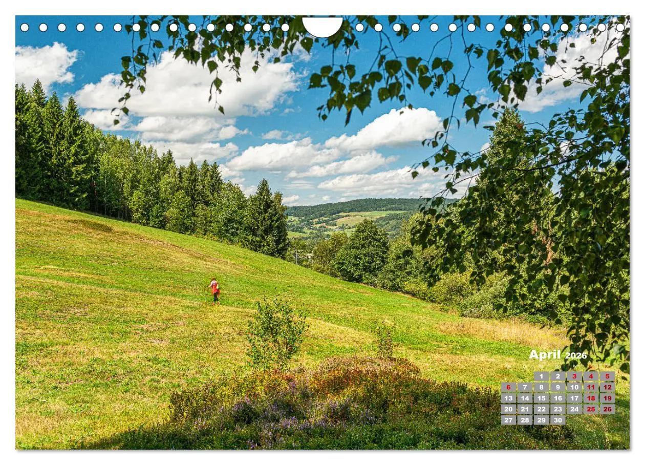 Bild: 9783457776780 | Markneukirchen - Musik &amp; Landschaft einer Region (Wandkalender 2026...