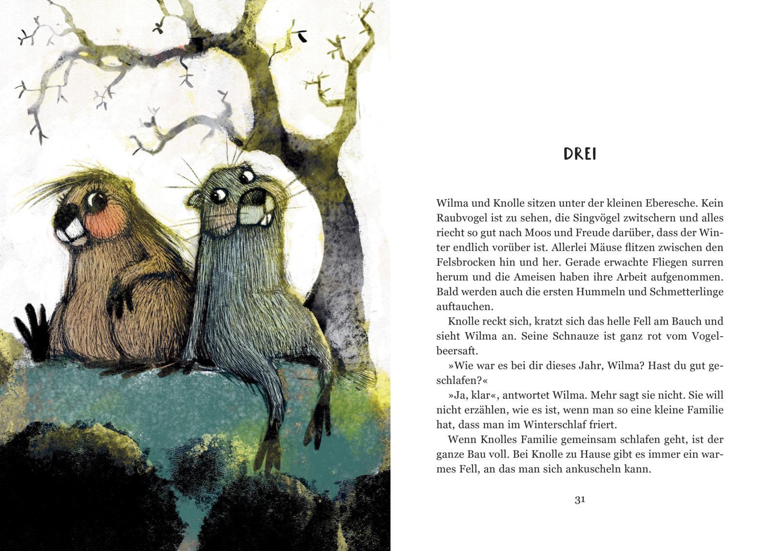 Bild: 9783522186780 | Wilma Wildpelz | Lena Frölander-Ulf | Buch | 192 S. | Deutsch | 2025
