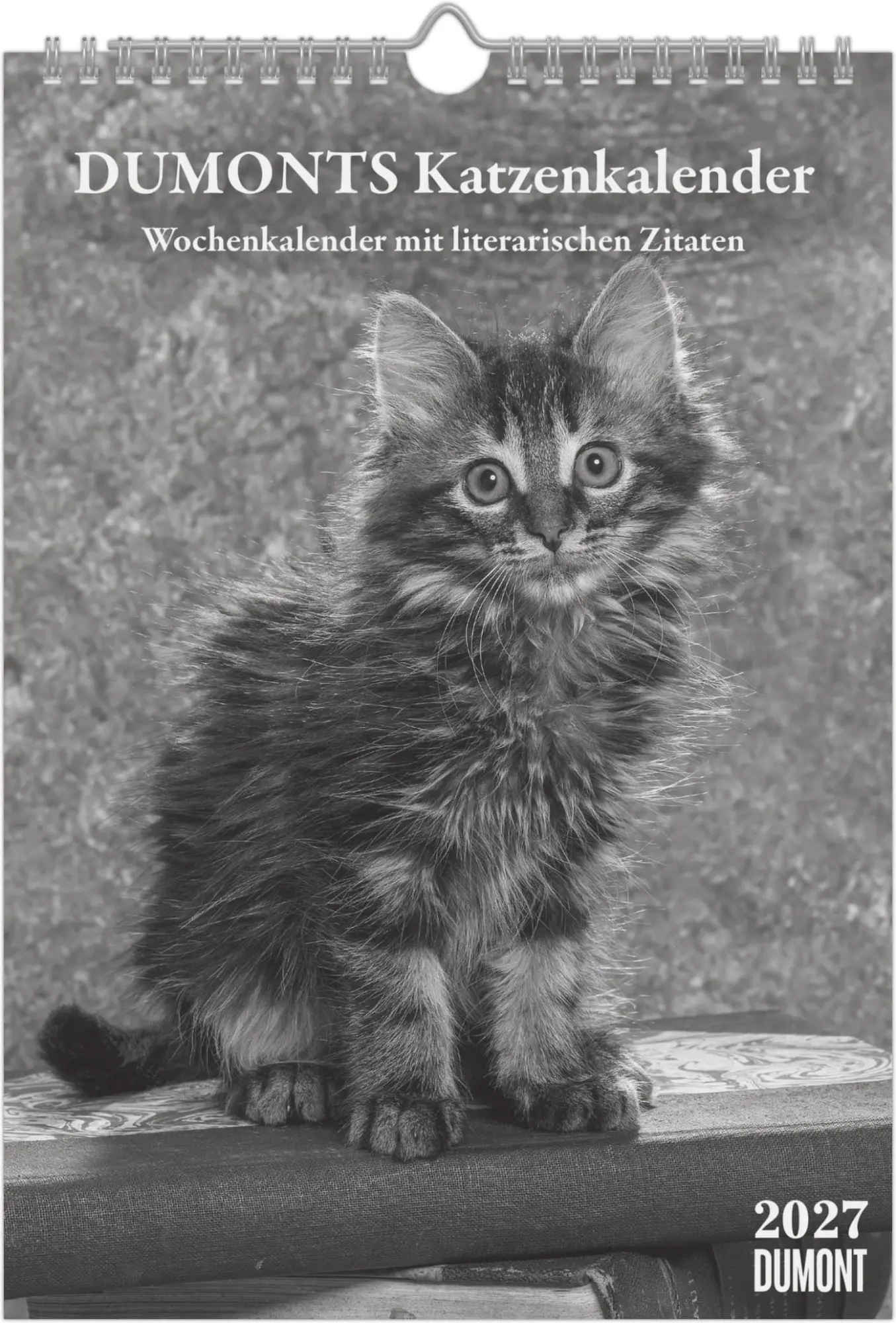 Cover: 4069095016880 | DUMONTS Katzenkalender 2027 | Marion Schmidt | Kalender | 55 S. | 2027