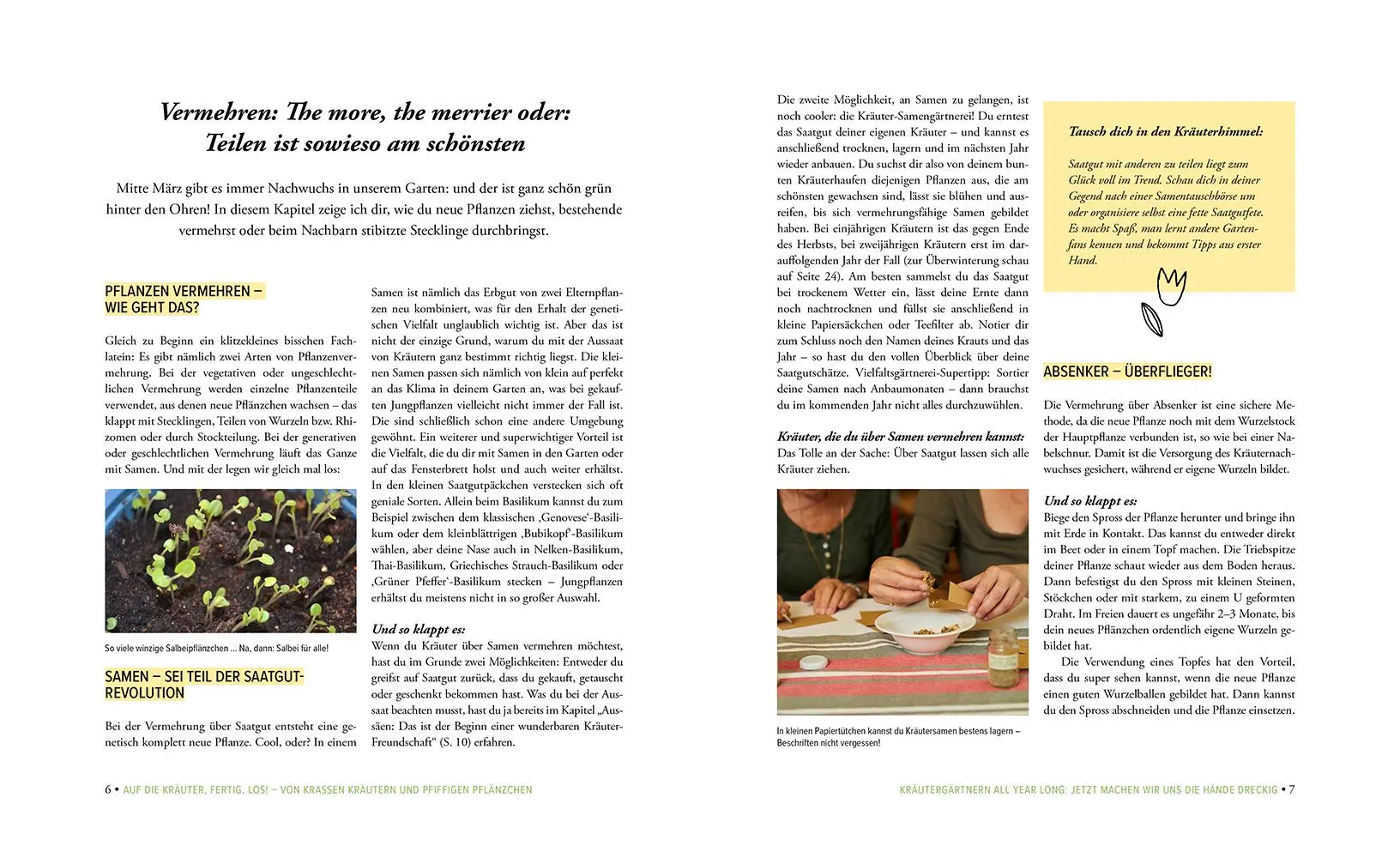 Bild: 9783706626880 | Deine fabelhaften Kräuter | Andrea Breithuber | Buch | 208 S. | 2021