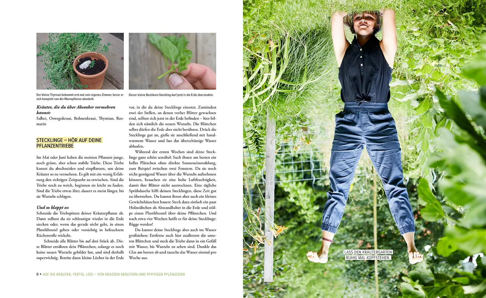 Bild: 9783706626880 | Deine fabelhaften Kräuter | Andrea Breithuber | Buch | 208 S. | 2021