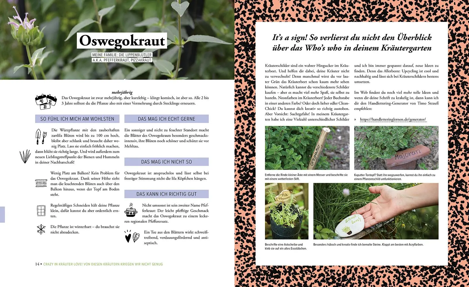 Bild: 9783706626880 | Deine fabelhaften Kräuter | Andrea Breithuber | Buch | 208 S. | 2021