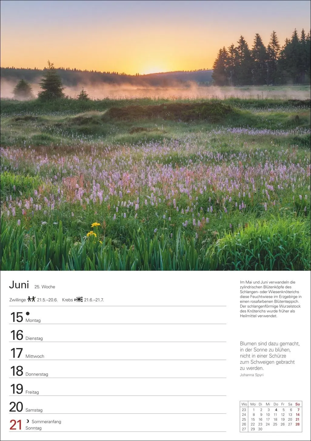 Bild: 9783840036880 | Naturschätze Deutschlands Wochenplaner 2026 - Eine Reise in 53 Bildern
