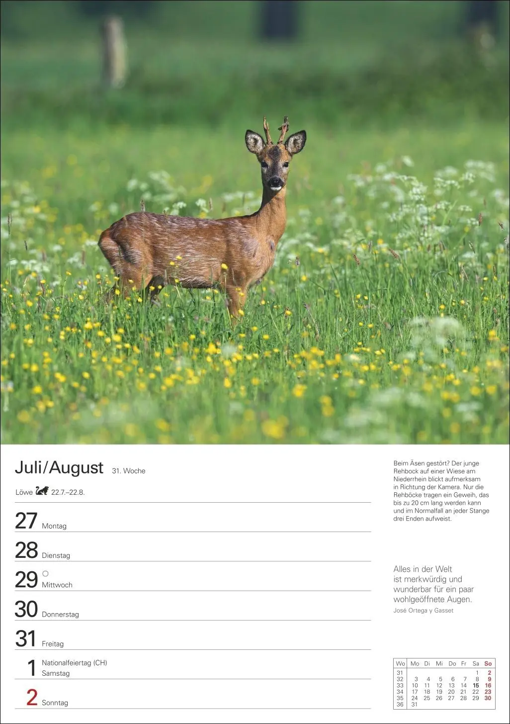 Bild: 9783840036880 | Naturschätze Deutschlands Wochenplaner 2026 - Eine Reise in 53 Bildern