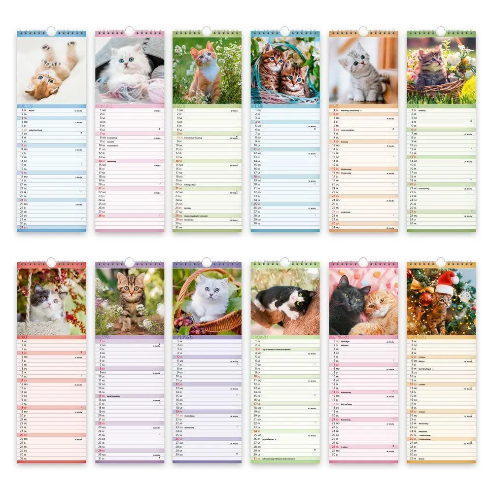 Bild: 9783988026880 | TRÖTSCH - Streifenkalender Katzen 2027 Notizkalender | KG | Kalender
