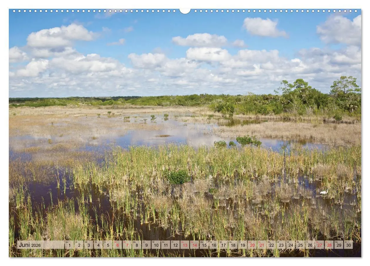 Bild: 9783457826980 | GEOclick calendar: Florida (Wandkalender 2026 DIN A2 quer),...