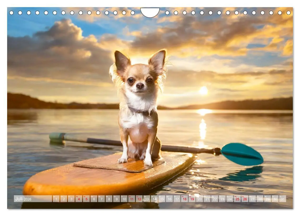 Bild: 9783457337080 | Chillige Chihuahuas - Entspannte Fellnasen genießen das Leben...