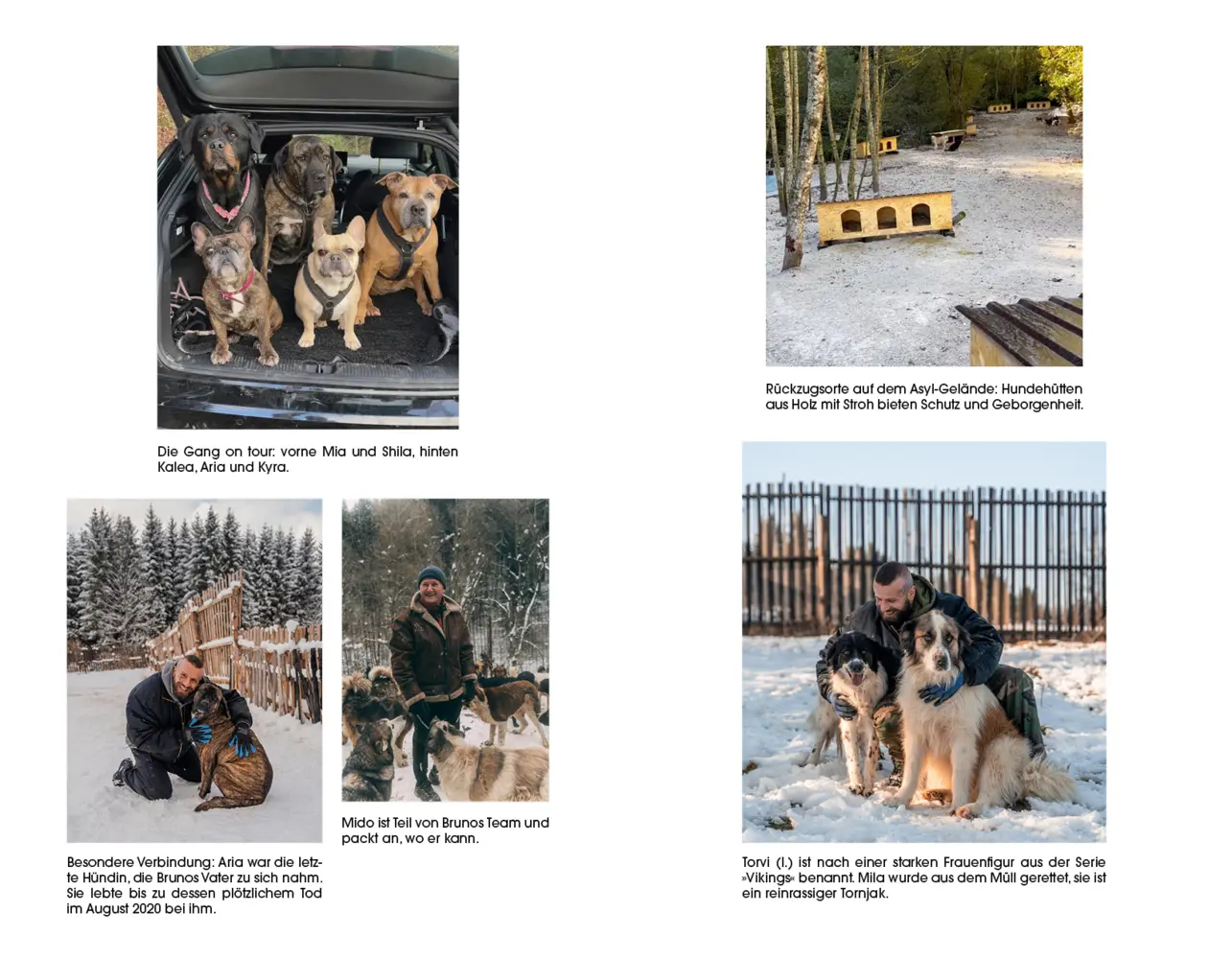 Bild: 9783747407080 | Der Hundebeschützer | Bruno Jelovic (u. a.) | Taschenbuch | 224 S.