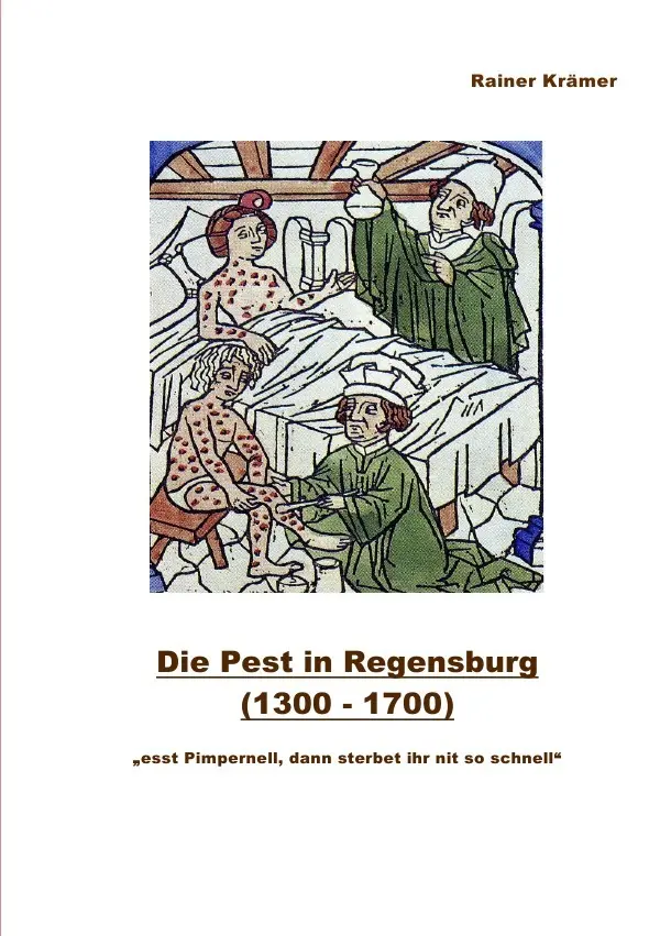 Die Pest in Regensburg (1300 - 1700) - Rainer Krämer Kartoniert (TB)