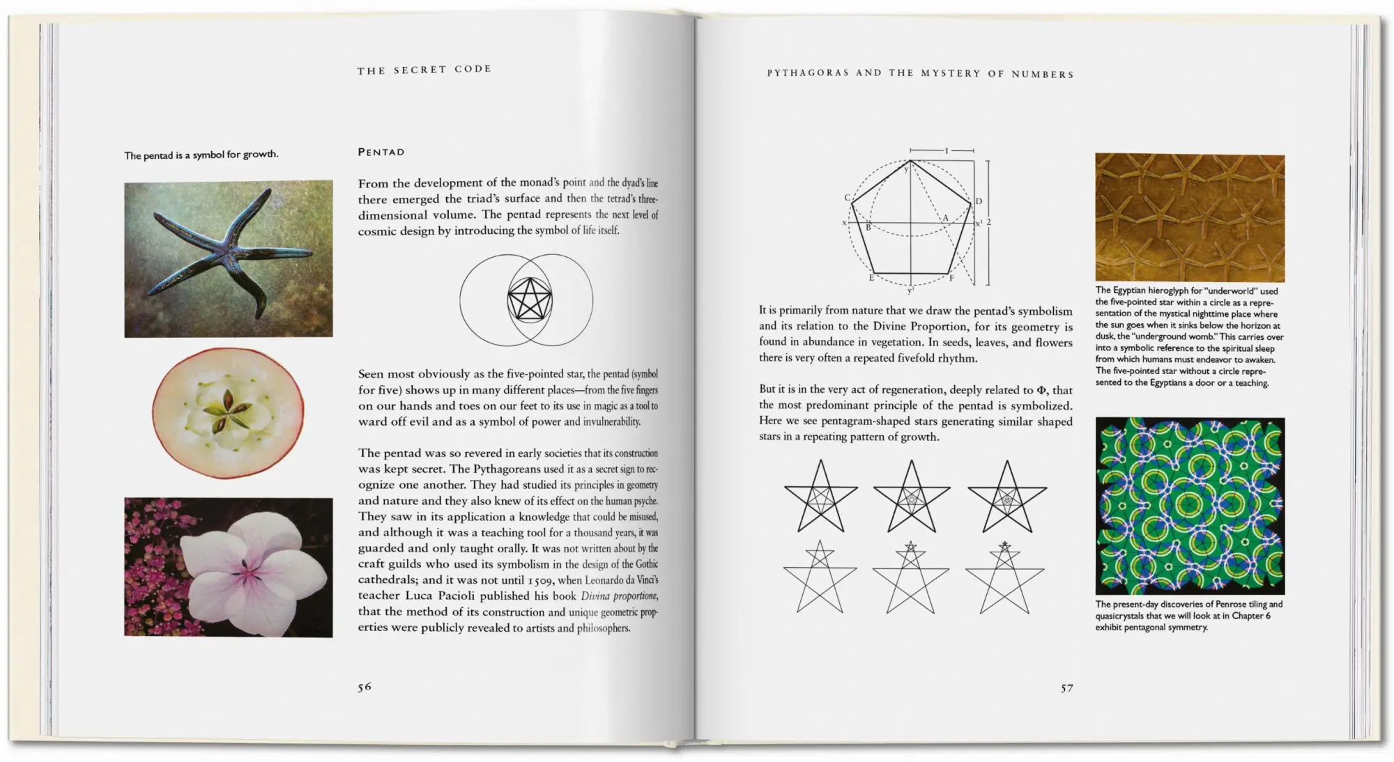 Bild: 9783836507080 | Der Geheime Code | Priya Hemenway | Buch | Evergreen | 203 S. | 2017