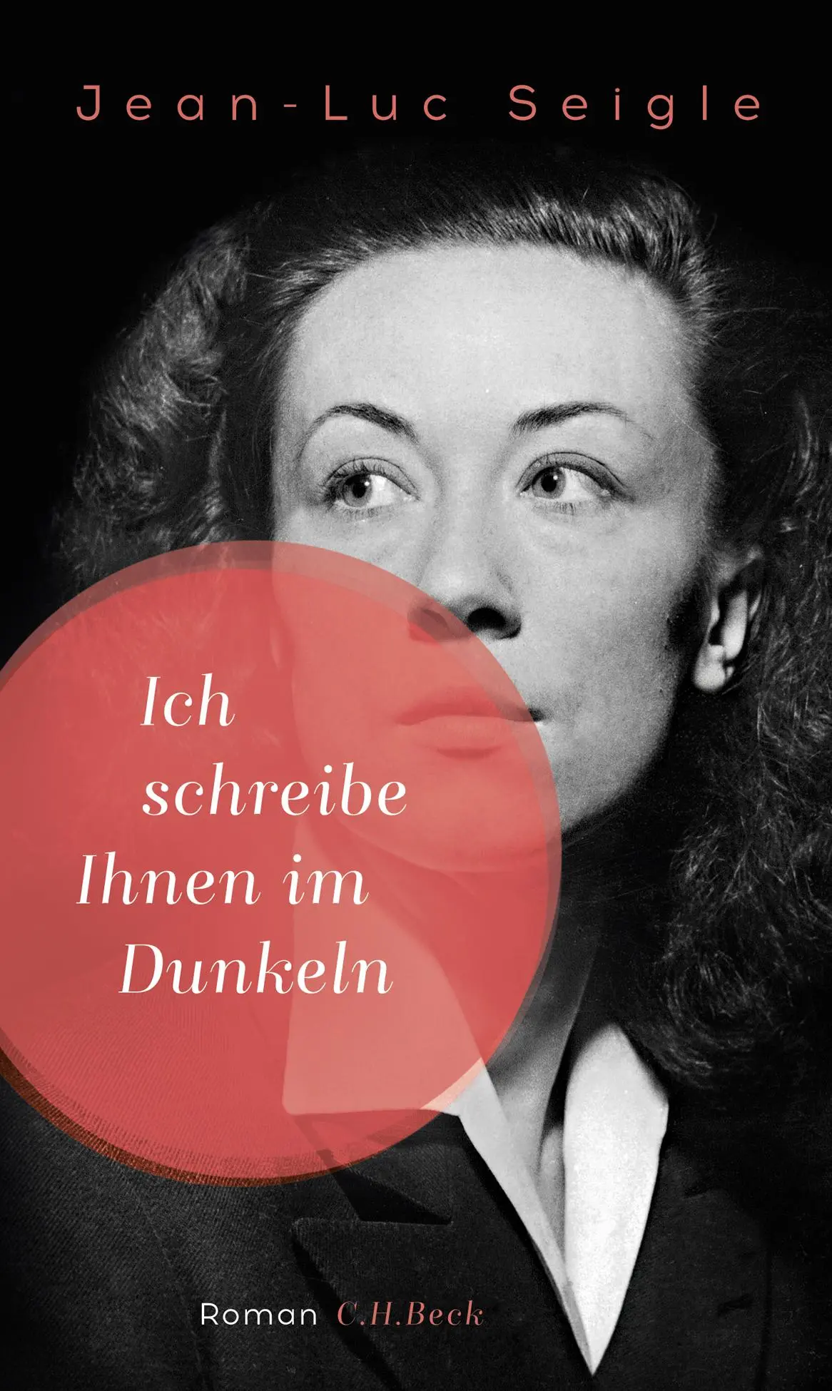 Cover: 9783406697180 | Ich schreibe Ihnen im Dunkeln | Jean-Luc Seigle | Buch | 207 S. | 2017