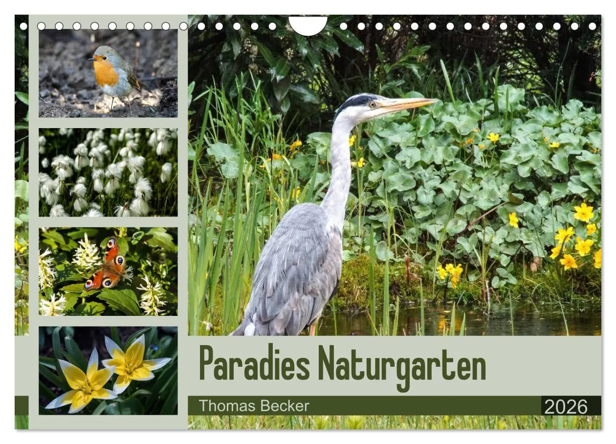 Cover: 9783457947180 | Paradies Naturgarten (Wandkalender 2026 DIN A4 quer), CALVENDO...