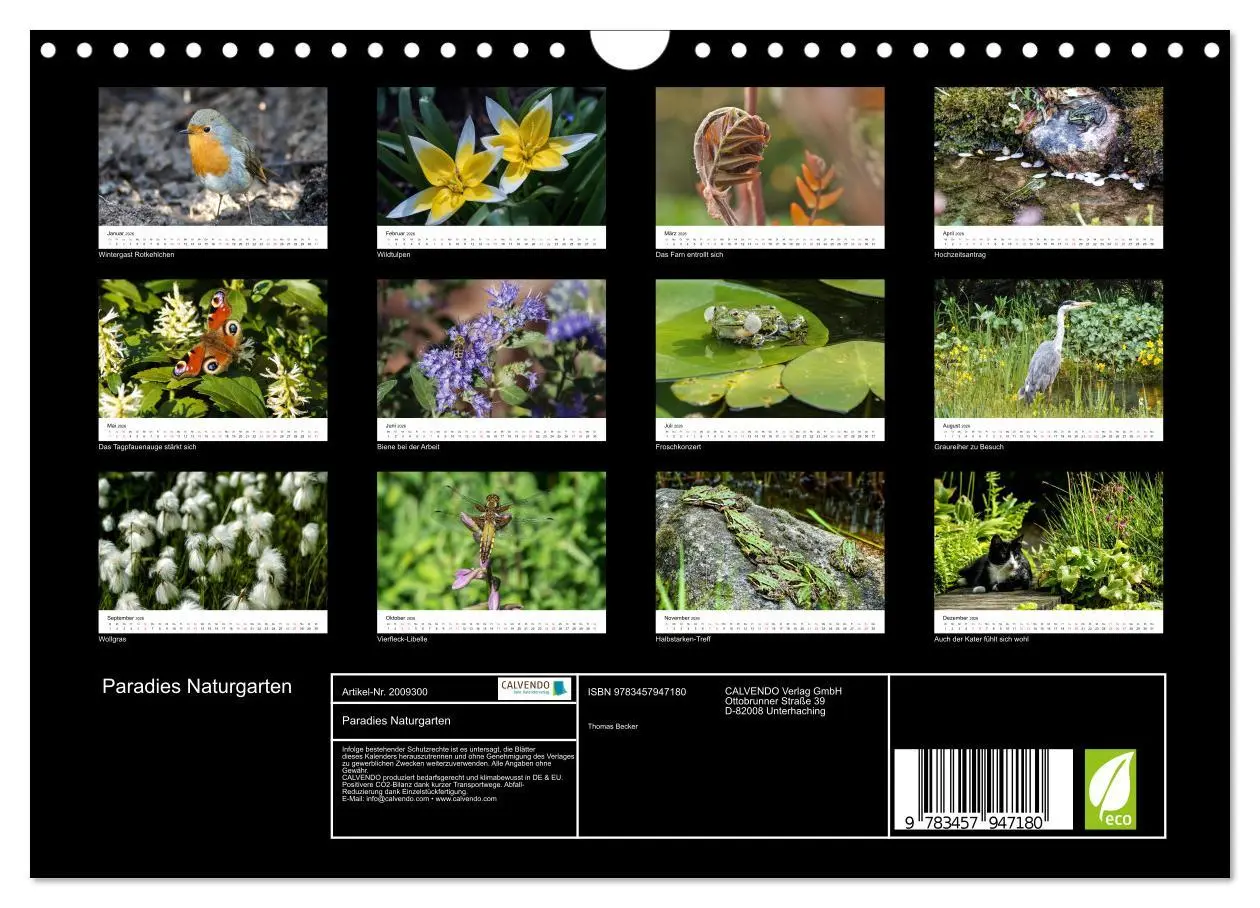 Bild: 9783457947180 | Paradies Naturgarten (Wandkalender 2026 DIN A4 quer), CALVENDO...