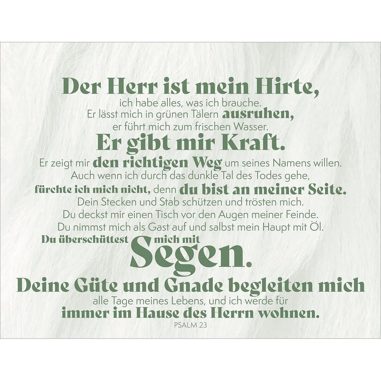 Bild: 9783863387280 | Mutig und gestärkt auf deinem Weg | Taschenbuch | 24 S. | Deutsch