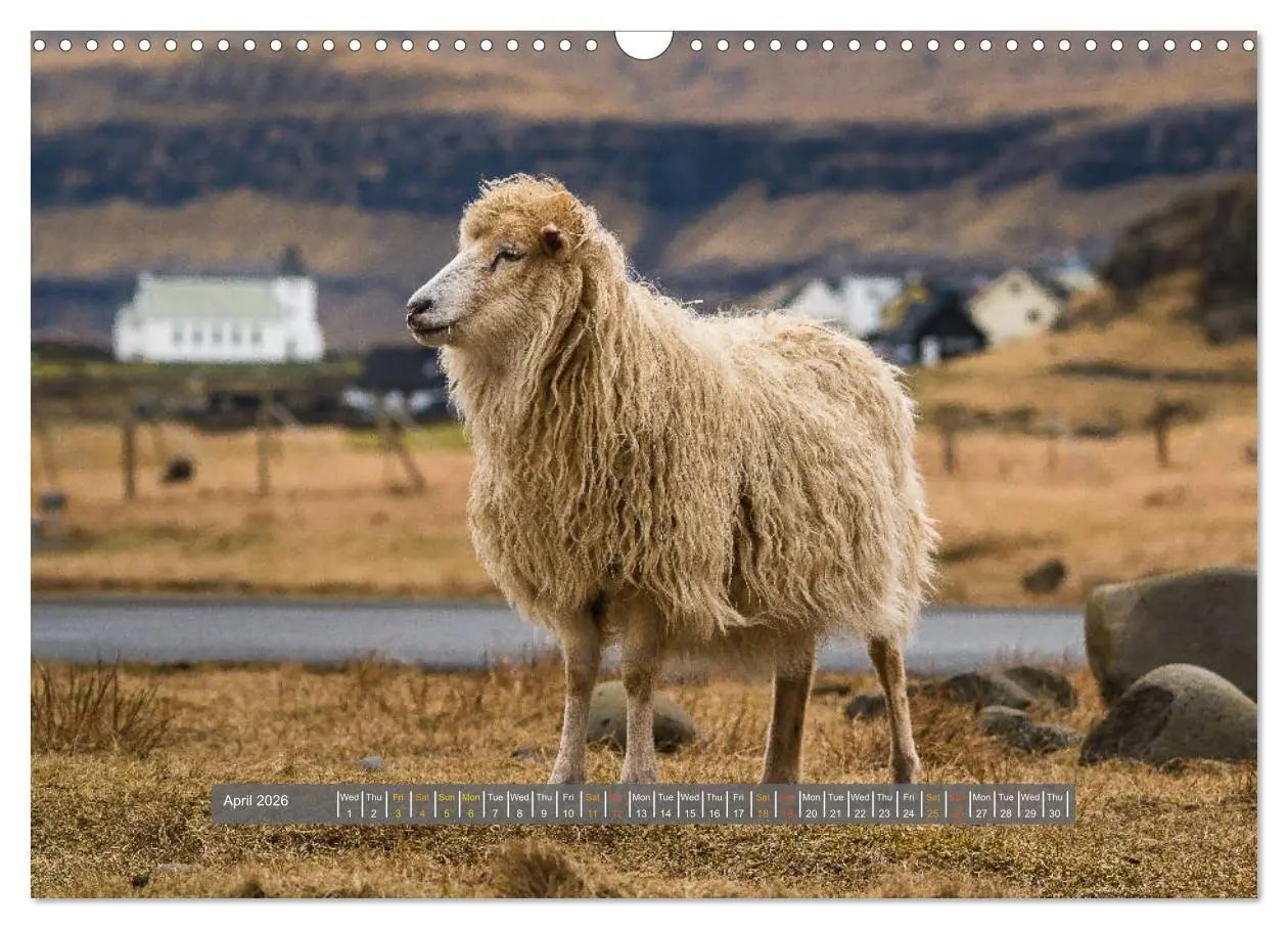 Bild: 9783516567380 | Spectacular beauty - Faroe Islands (Wall Calendar 2026 DIN A3...