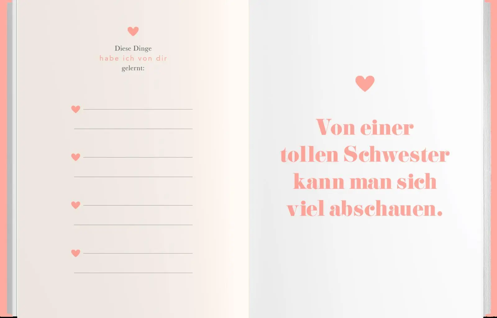 Bild: 4251693907480 | Für meine wunderbare Schwester | Elma Van Vliet | Notizbuch | 80 S.