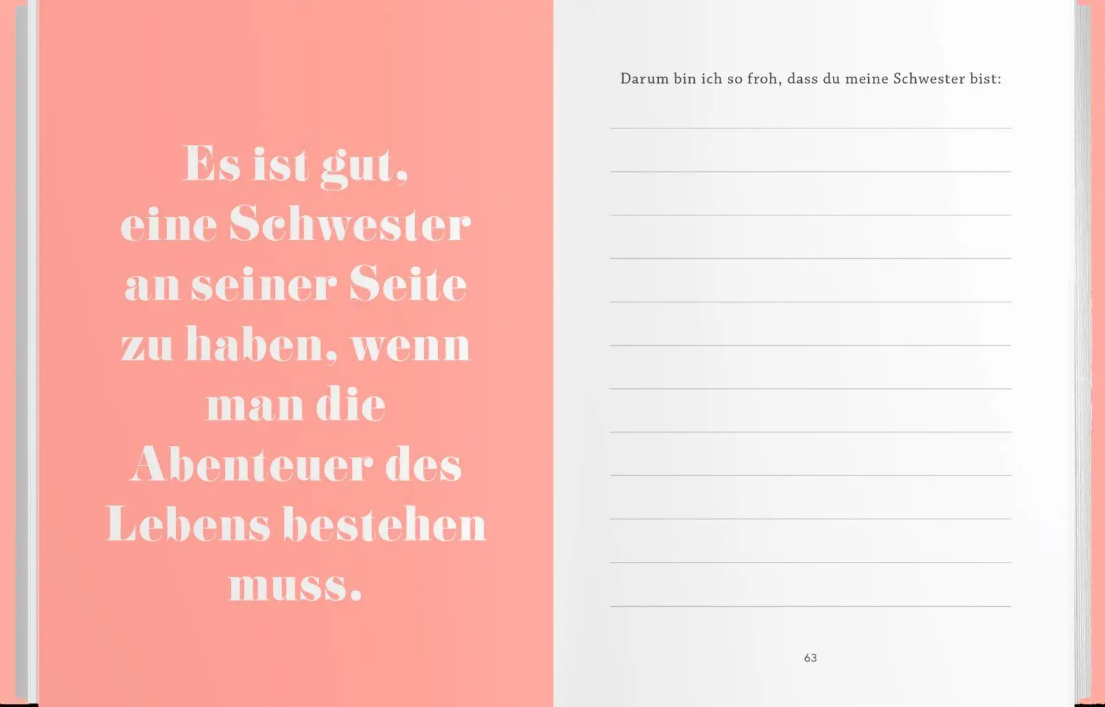 Bild: 4251693907480 | Für meine wunderbare Schwester | Elma Van Vliet | Notizbuch | 80 S.
