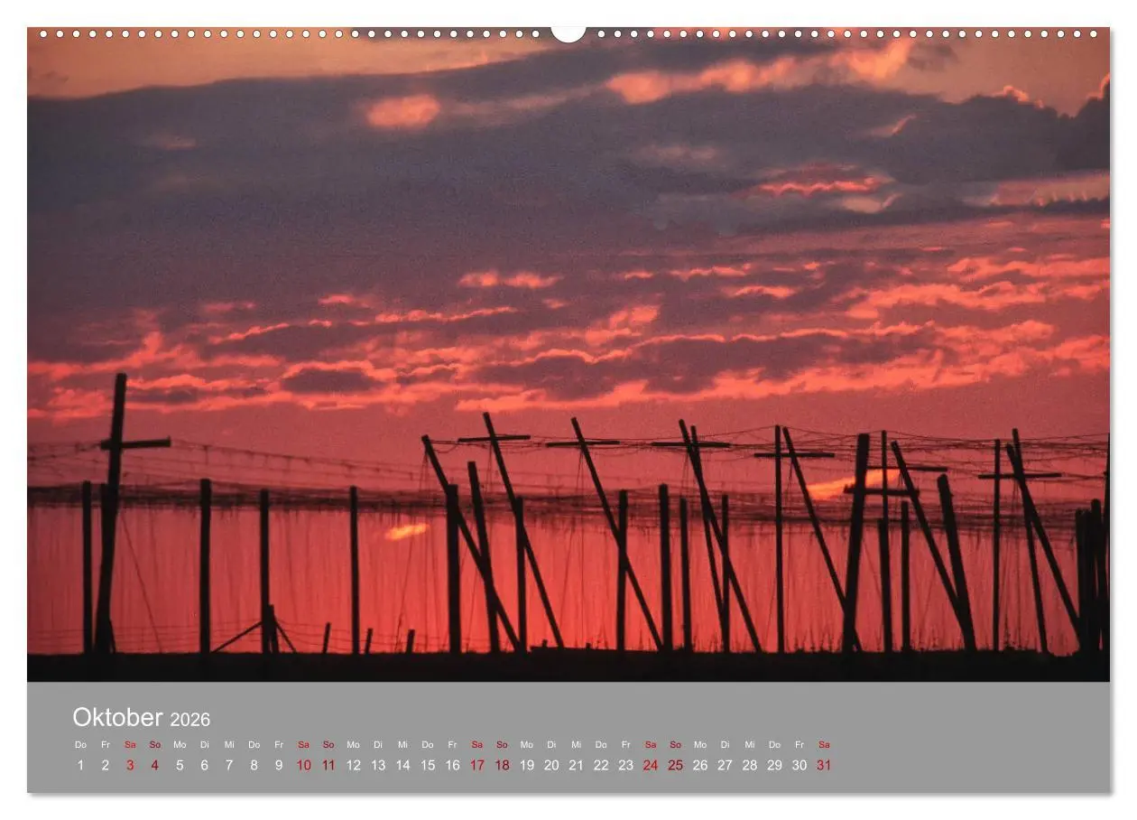 Bild: 9783457917480 | Hallertau (Wandkalender 2026 DIN A2 quer), CALVENDO Monatskalender