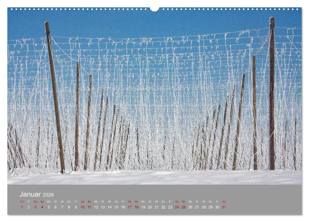 Bild: 9783457917480 | Hallertau (Wandkalender 2026 DIN A2 quer), CALVENDO Monatskalender