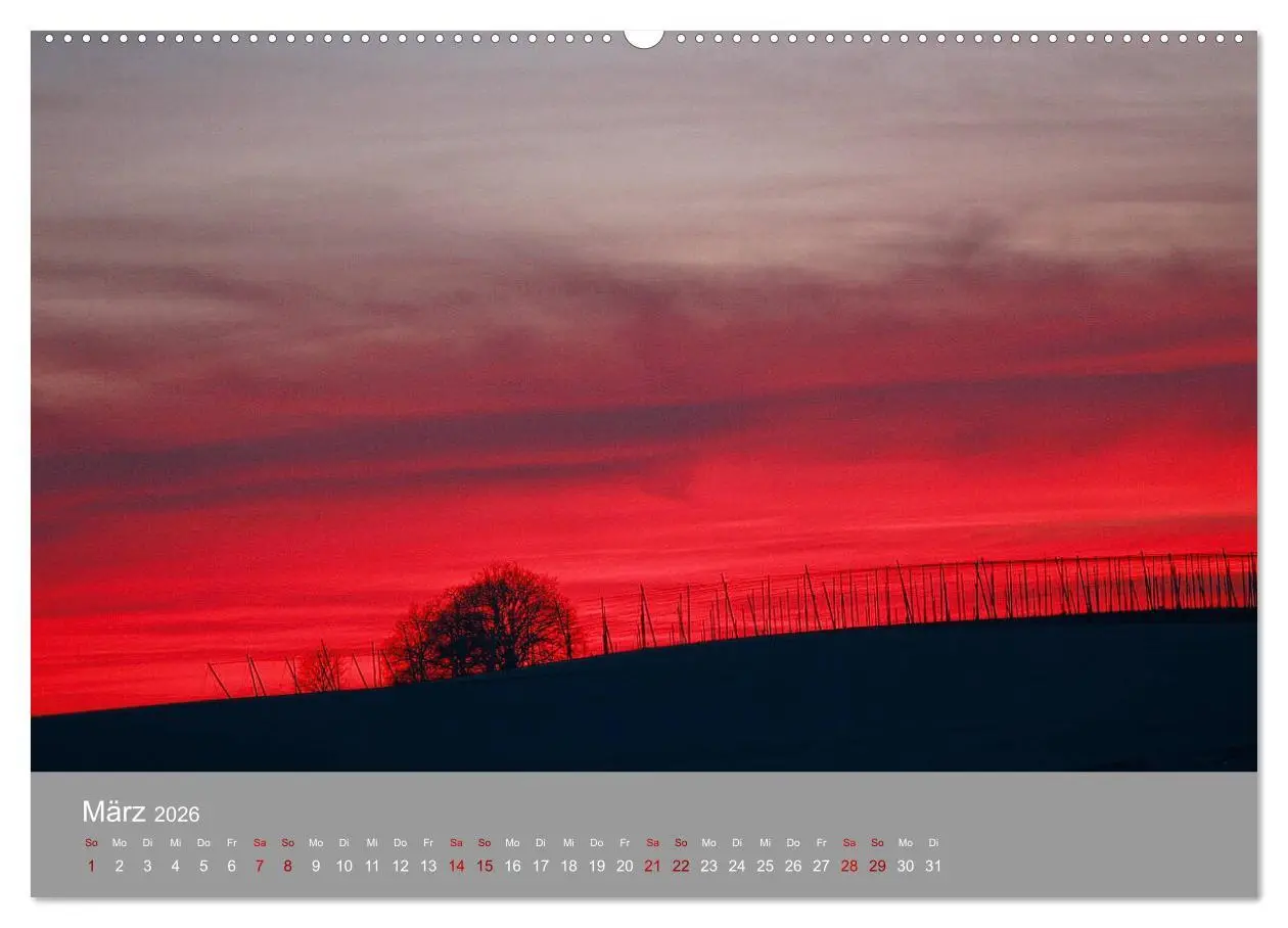 Bild: 9783457917480 | Hallertau (Wandkalender 2026 DIN A2 quer), CALVENDO Monatskalender