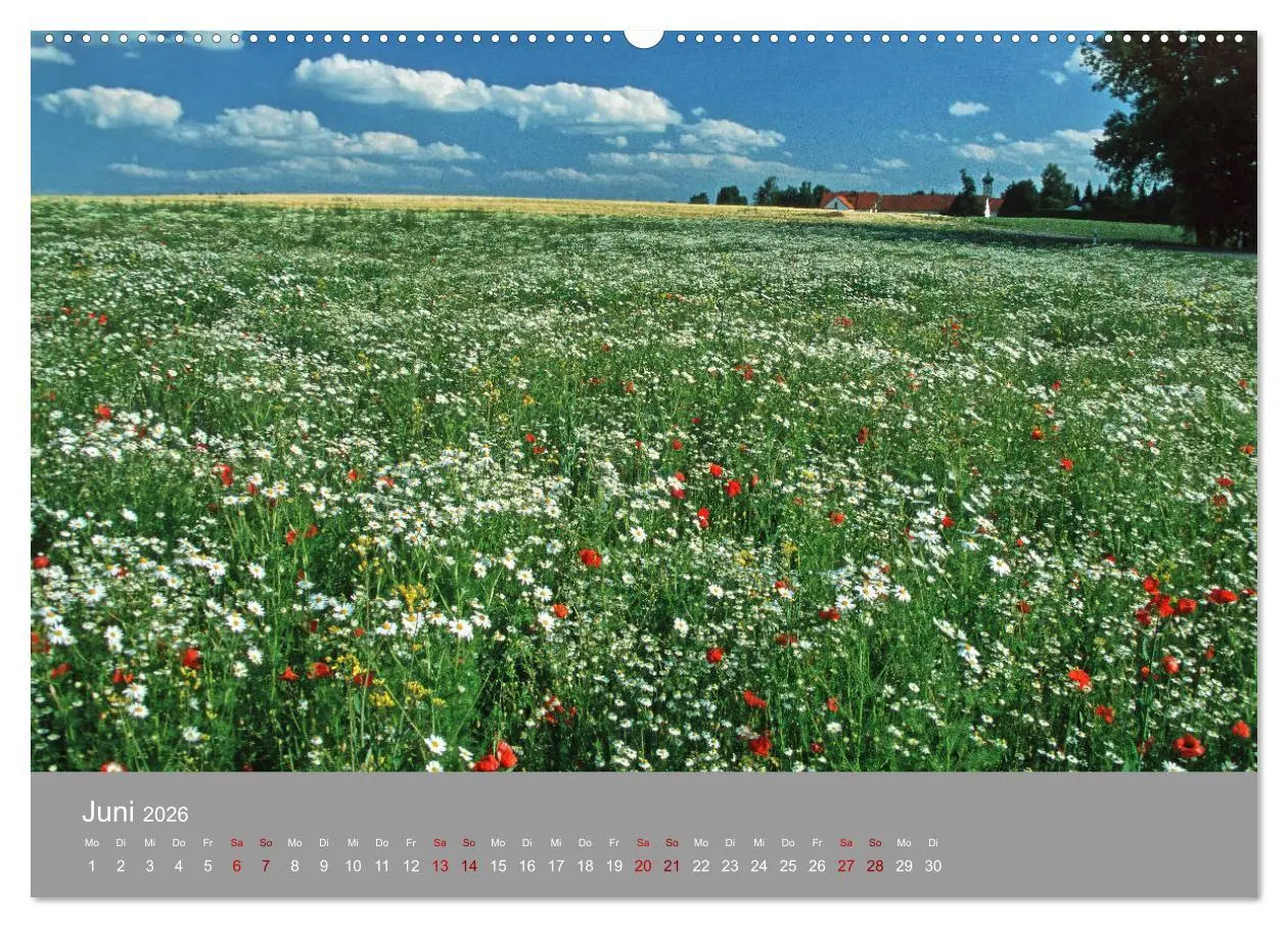 Bild: 9783457917480 | Hallertau (Wandkalender 2026 DIN A2 quer), CALVENDO Monatskalender