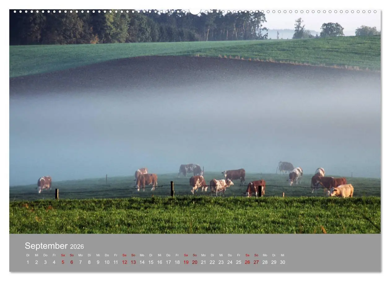 Bild: 9783457917480 | Hallertau (Wandkalender 2026 DIN A2 quer), CALVENDO Monatskalender