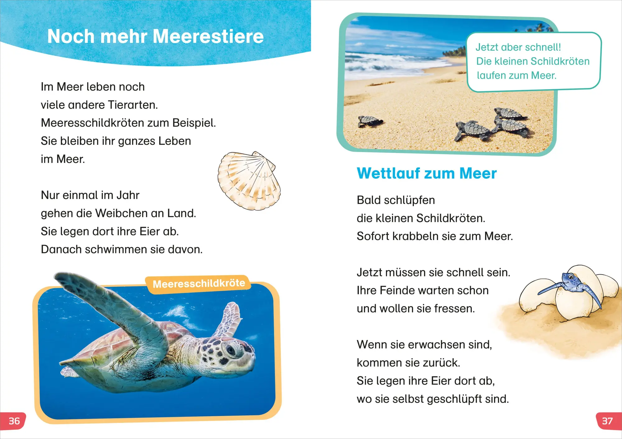 Bild: 9783788677480 | WAS IST WAS Erstes Lesen easy! Tiere im Meer | Sonja Meierjürgen