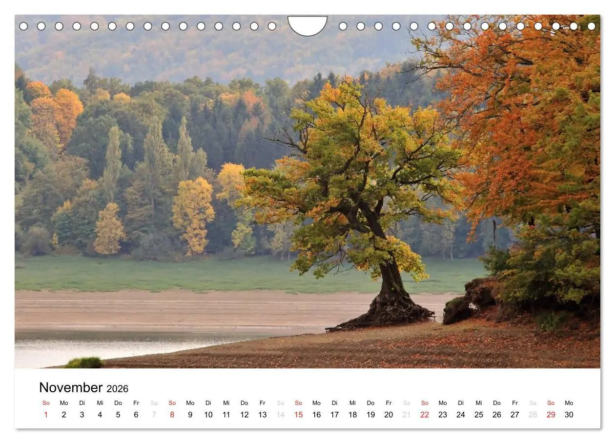 Bild: 9783516167580 | Mein Edersee 2026 (Wandkalender 2026 DIN A4 quer), CALVENDO...
