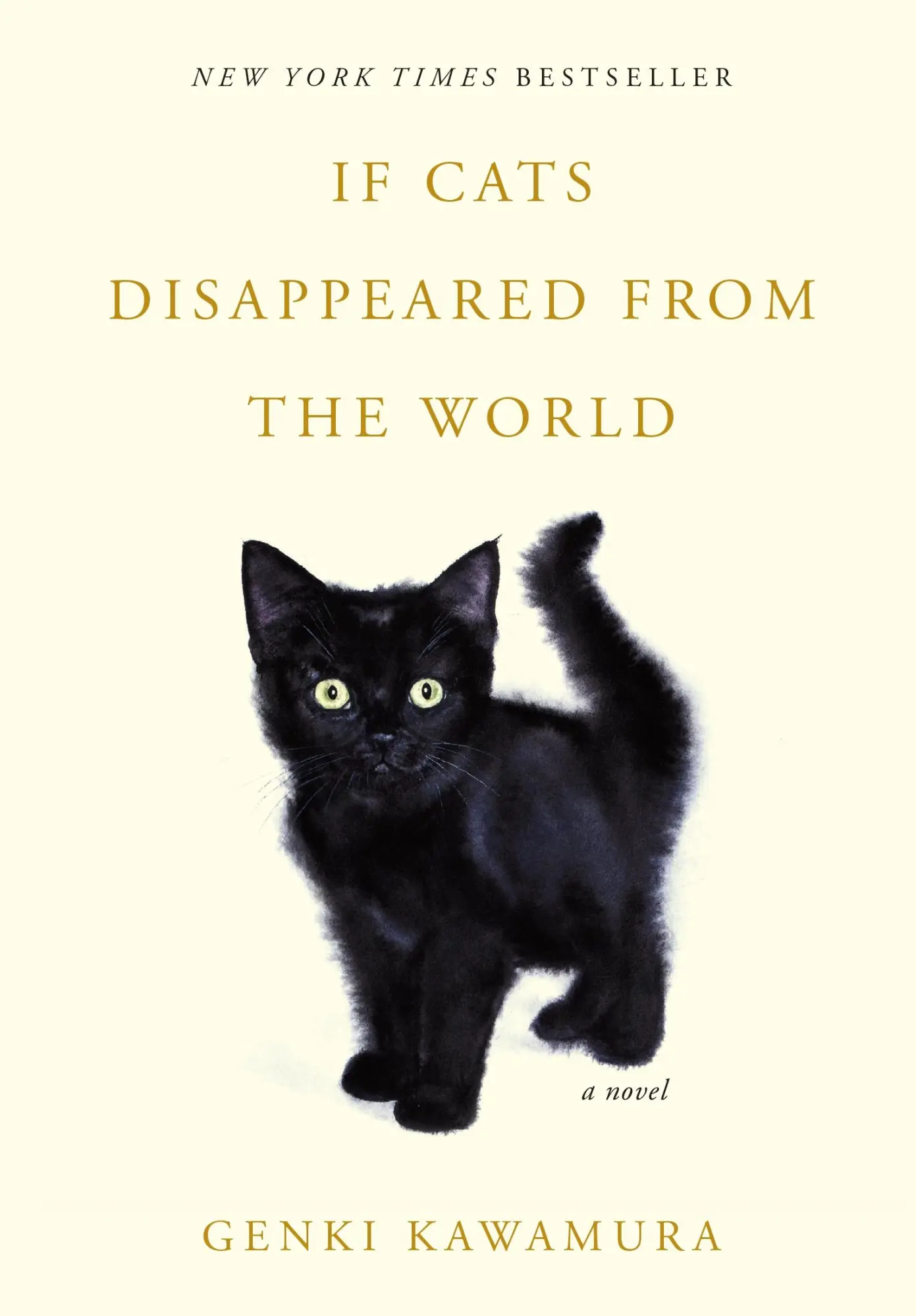 Cover: 9781250257680 | If Cats Disappeared from the World | Genki Kawamura | Taschenbuch