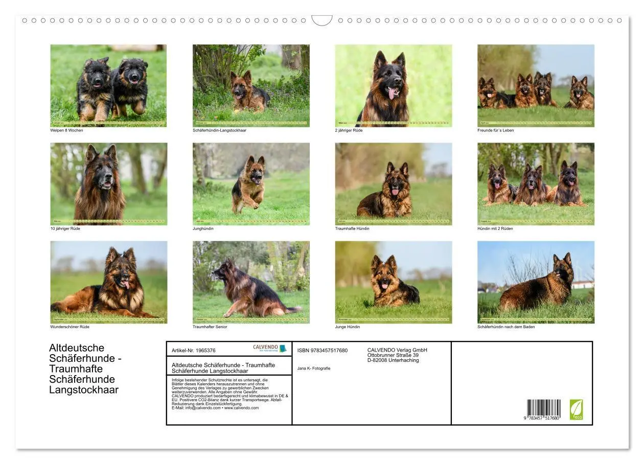 Bild: 9783457517680 | Altdeutsche Schäferhunde - Traumhafte Schäferhunde Langstockhaar...