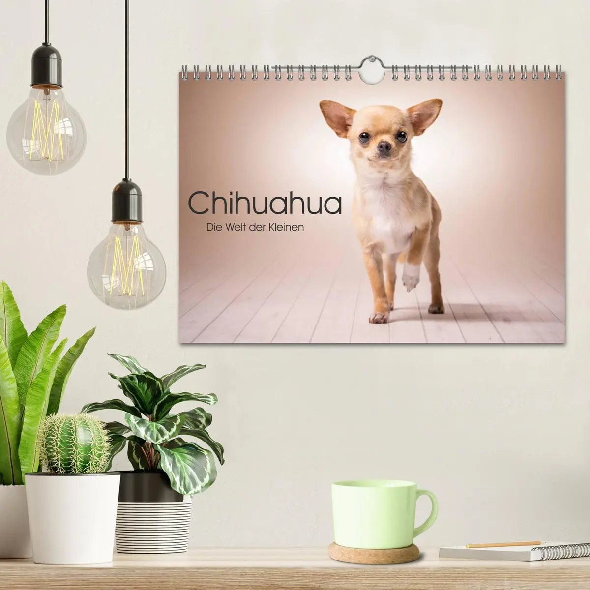 Bild: 9783457997680 | Chihuahua - Die Welt der Kleinen (Wandkalender 2026 DIN A4 quer),...