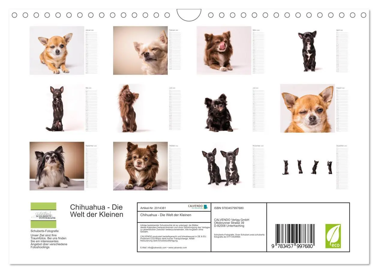 Bild: 9783457997680 | Chihuahua - Die Welt der Kleinen (Wandkalender 2026 DIN A4 quer),...